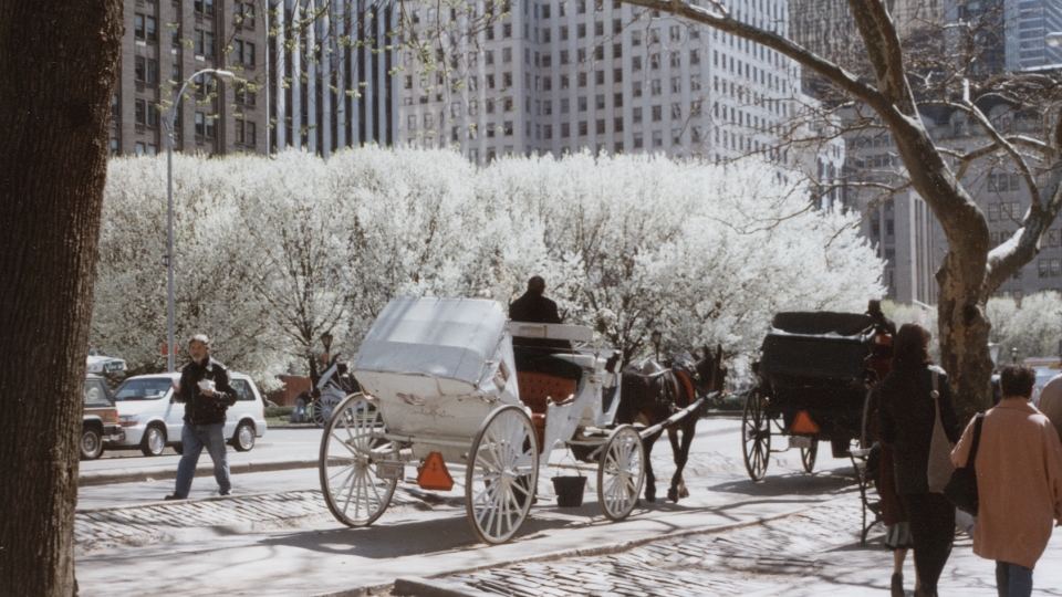 New York City on an April Day