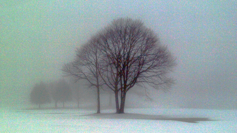 Snow and Fog, Suffolk County Golf Course, West Sayville, New York